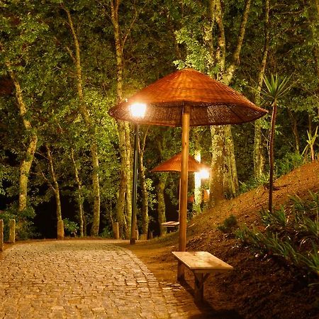 Quinta Da Costa Villa Vila da Lixa Ngoại thất bức ảnh